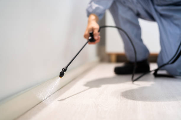 Licensed Mosquito Control service in Milledgeville, IL - Show Me Pest Control