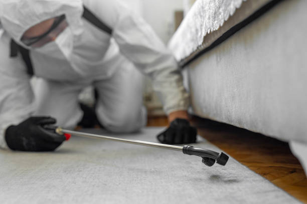 Professional Ant Control technician working in Milledgeville, IL