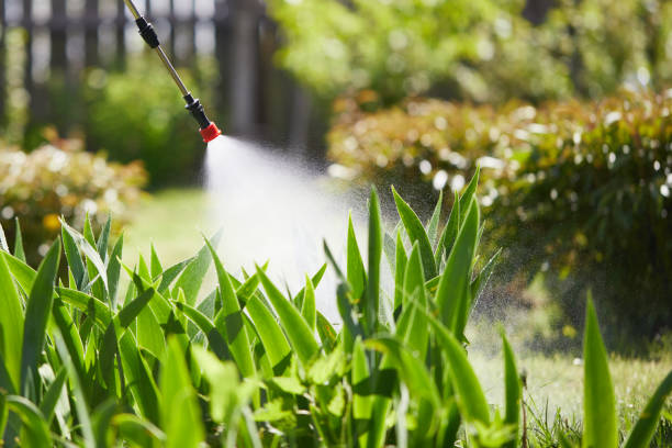 24/7 Emergency Mosquito Control experts in Milledgeville, IL