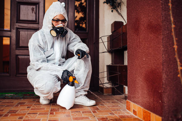 Reliable Mosquito Control contractor in Milledgeville, IL by Show Me Pest Control