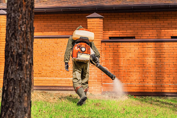 Top rated local Mosquito Control specialists in Milledgeville, IL